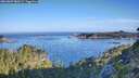 ./images/calvert/foggy-cove/20260807/foggy-cove20260807_080501M.jpg