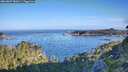 ./images/calvert/foggy-cove/20260807/foggy-cove20260807_081001M.jpg