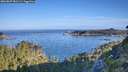 ./images/calvert/foggy-cove/20260807/foggy-cove20260807_081501M.jpg