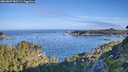 ./images/calvert/foggy-cove/20260807/foggy-cove20260807_082501M.jpg
