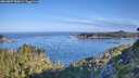 ./images/calvert/foggy-cove/20260807/foggy-cove20260807_083001M.jpg