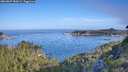 ./images/calvert/foggy-cove/20260807/foggy-cove20260807_084501M.jpg
