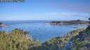 ./images/calvert/foggy-cove/20260807/foggy-cove20260807_085001M.jpg