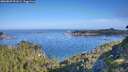./images/calvert/foggy-cove/20260807/foggy-cove20260807_091001M.jpg