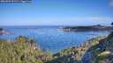 ./images/calvert/foggy-cove/20260807/foggy-cove20260807_091501M.jpg