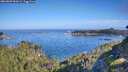 ./images/calvert/foggy-cove/20260807/foggy-cove20260807_092001M.jpg