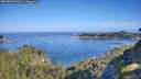 ./images/calvert/foggy-cove/20260807/foggy-cove20260807_092501M.jpg