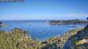 ./images/calvert/foggy-cove/20260807/foggy-cove20260807_093001M.jpg