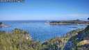 ./images/calvert/foggy-cove/20260807/foggy-cove20260807_093501M.jpg