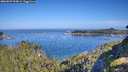 ./images/calvert/foggy-cove/20260807/foggy-cove20260807_094001M.jpg
