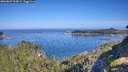 ./images/calvert/foggy-cove/20260807/foggy-cove20260807_094501M.jpg