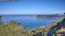 ./images/calvert/foggy-cove/20260807/foggy-cove20260807_095501M.jpg