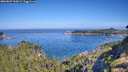 ./images/calvert/foggy-cove/20260807/foggy-cove20260807_100001M.jpg