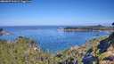 ./images/calvert/foggy-cove/20260807/foggy-cove20260807_101001M.jpg