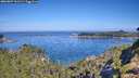 ./images/calvert/foggy-cove/20260807/foggy-cove20260807_101501M.jpg