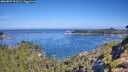 ./images/calvert/foggy-cove/20260807/foggy-cove20260807_102001M.jpg