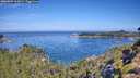 ./images/calvert/foggy-cove/20260807/foggy-cove20260807_103002M.jpg