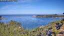 ./images/calvert/foggy-cove/20260807/foggy-cove20260807_104501M.jpg