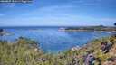 ./images/calvert/foggy-cove/20260807/foggy-cove20260807_110001M.jpg