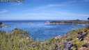./images/calvert/foggy-cove/20260807/foggy-cove20260807_110501M.jpg
