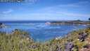 ./images/calvert/foggy-cove/20260807/foggy-cove20260807_111001M.jpg