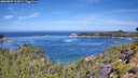 ./images/calvert/foggy-cove/20260807/foggy-cove20260807_112001M.jpg