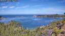 ./images/calvert/foggy-cove/20260807/foggy-cove20260807_113001M.jpg