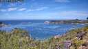 ./images/calvert/foggy-cove/20260807/foggy-cove20260807_113501M.jpg