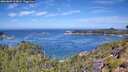 ./images/calvert/foggy-cove/20260807/foggy-cove20260807_114001M.jpg