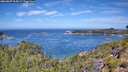 ./images/calvert/foggy-cove/20260807/foggy-cove20260807_114501M.jpg