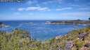 ./images/calvert/foggy-cove/20260807/foggy-cove20260807_115001M.jpg