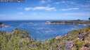 ./images/calvert/foggy-cove/20260807/foggy-cove20260807_115502M.jpg