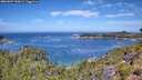 ./images/calvert/foggy-cove/20260807/foggy-cove20260807_120002M.jpg