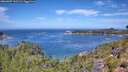 ./images/calvert/foggy-cove/20260807/foggy-cove20260807_120501M.jpg