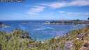 ./images/calvert/foggy-cove/20260807/foggy-cove20260807_124002M.jpg