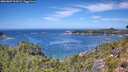 ./images/calvert/foggy-cove/20260807/foggy-cove20260807_124501M.jpg