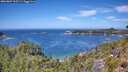 ./images/calvert/foggy-cove/20260807/foggy-cove20260807_125502M.jpg