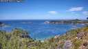 ./images/calvert/foggy-cove/20260807/foggy-cove20260807_130501M.jpg