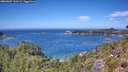 ./images/calvert/foggy-cove/20260807/foggy-cove20260807_131001M.jpg