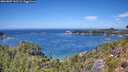 ./images/calvert/foggy-cove/20260807/foggy-cove20260807_131501M.jpg