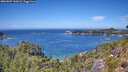 ./images/calvert/foggy-cove/20260807/foggy-cove20260807_132002M.jpg