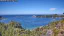 ./images/calvert/foggy-cove/20260807/foggy-cove20260807_132501M.jpg