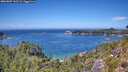 ./images/calvert/foggy-cove/20260807/foggy-cove20260807_133502M.jpg