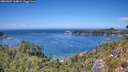 ./images/calvert/foggy-cove/20260807/foggy-cove20260807_134001M.jpg