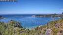 ./images/calvert/foggy-cove/20260807/foggy-cove20260807_134502M.jpg