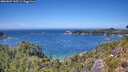 ./images/calvert/foggy-cove/20260807/foggy-cove20260807_135501M.jpg