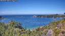 ./images/calvert/foggy-cove/20260807/foggy-cove20260807_140002M.jpg