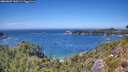 ./images/calvert/foggy-cove/20260807/foggy-cove20260807_140501M.jpg