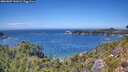 ./images/calvert/foggy-cove/20260807/foggy-cove20260807_141001M.jpg