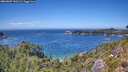 ./images/calvert/foggy-cove/20260807/foggy-cove20260807_141501M.jpg